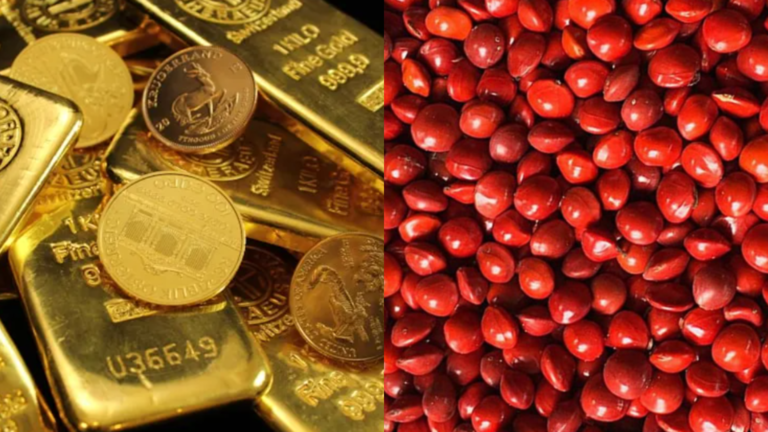 gold 2