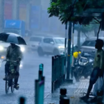 rain