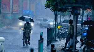 rain