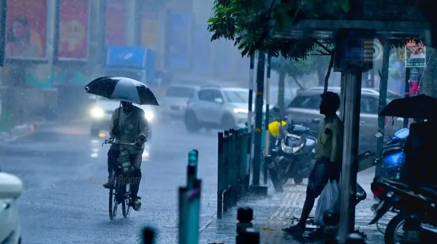 rain