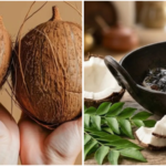COCONUT (1)