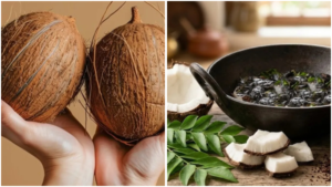 COCONUT (1)