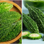 bitter gourd