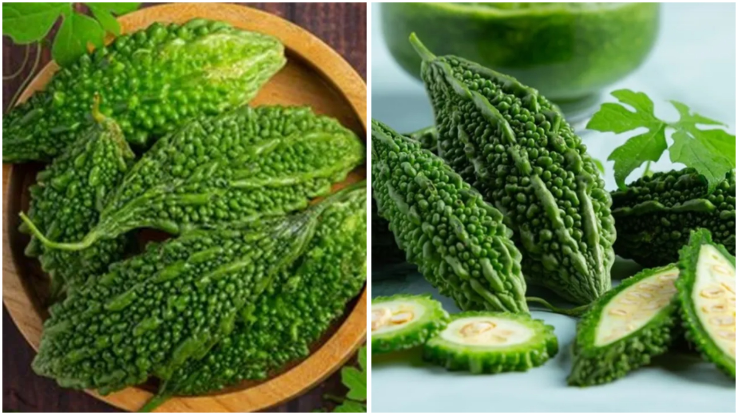 bitter gourd