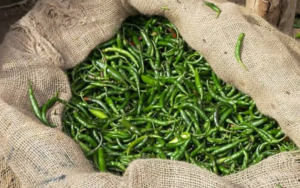 green chillies