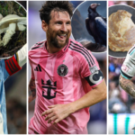 messi (1)