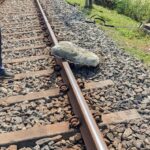 shornur railway