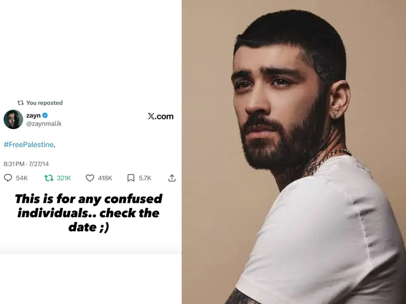 zain malik